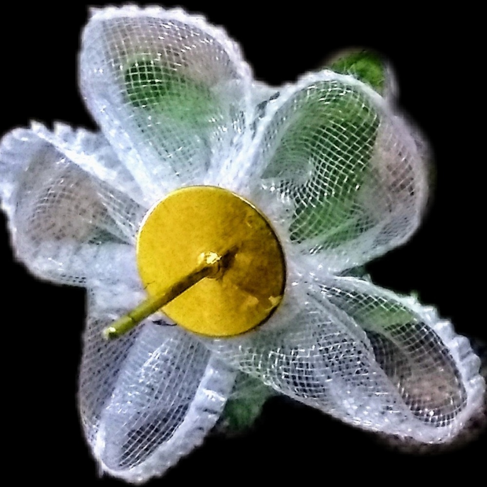 WHITE ROSE OF PEACE - Picture 6 of 6